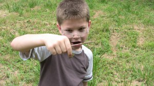 I enthuse wildly at a small grasshopper.