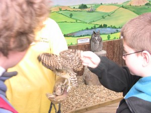 A fat owl looks content in the background.