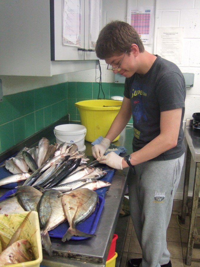 I fill the fish with iodine pills and other tablets.