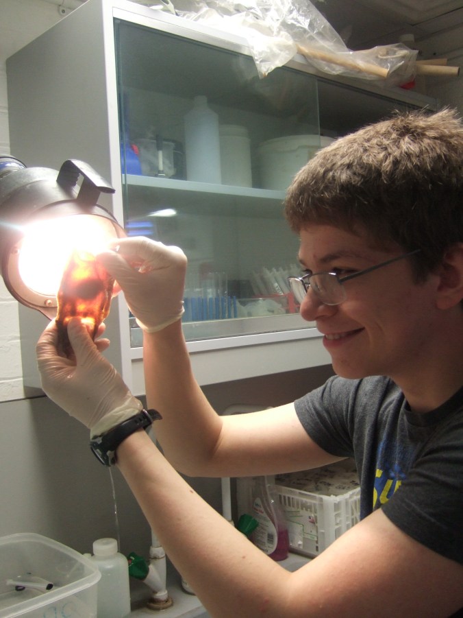 I reveal Kenneth or Kinsley for all the world to see.