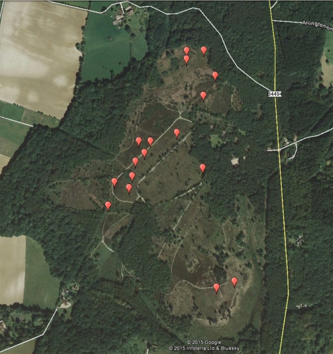 This map of Snelsmore Common shows all of the points where Matt and I saw common lizards. Notice that there are not many in the south, where scrubland is rarer.