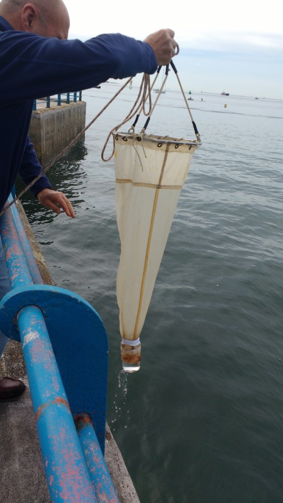 High quality net, and an even higher quality jam jar.